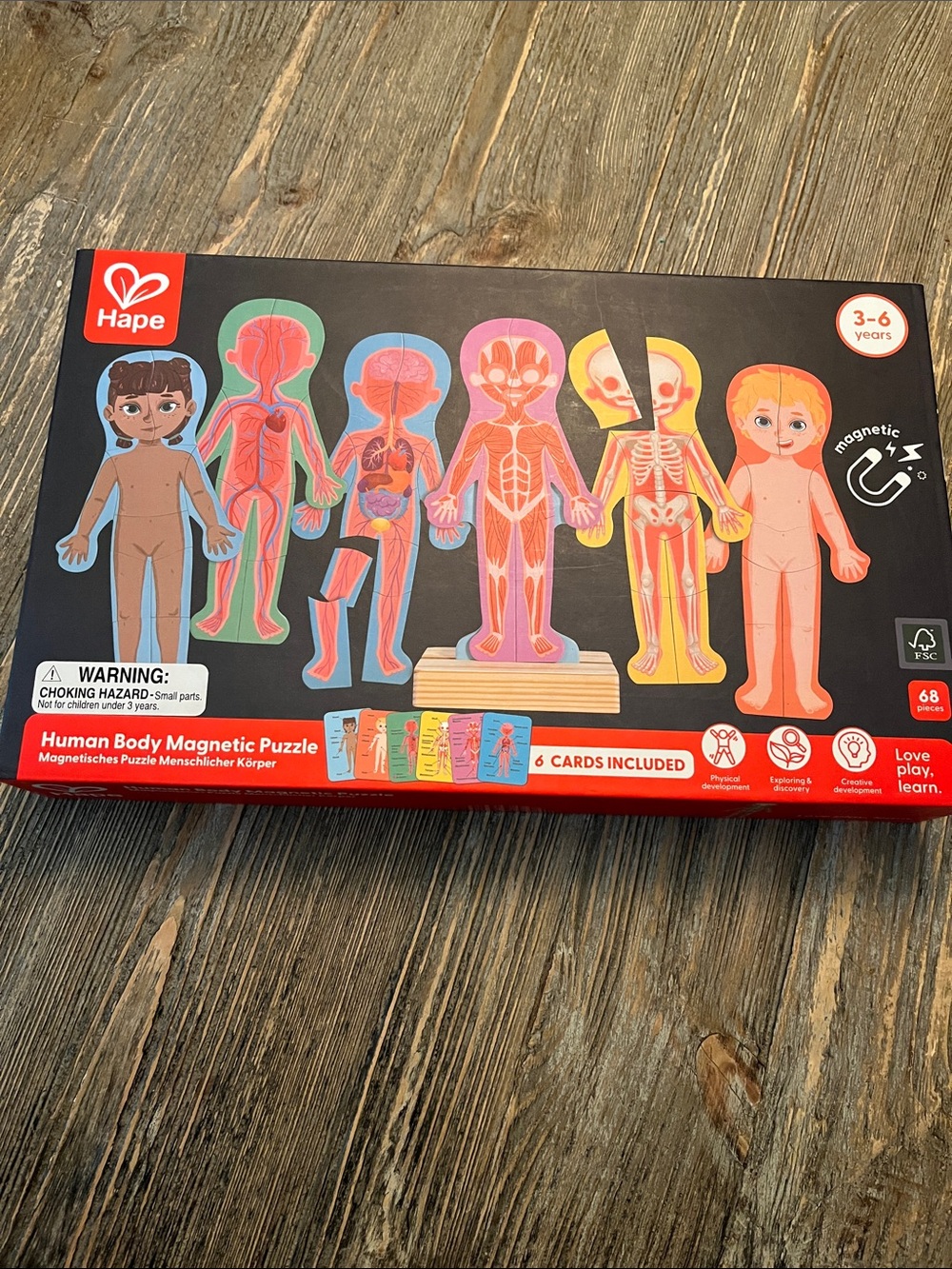 HAPE Human Body Magnetic Puzzle 3-6 yrs Muscles Blood Vessels Skin Organs Bones